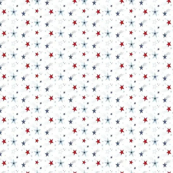 Stars and Stripes Forever 5-inch Stacker - Image 10