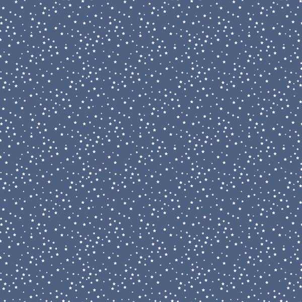 Stars and Stripes Forever 5-inch Stacker - Image 14