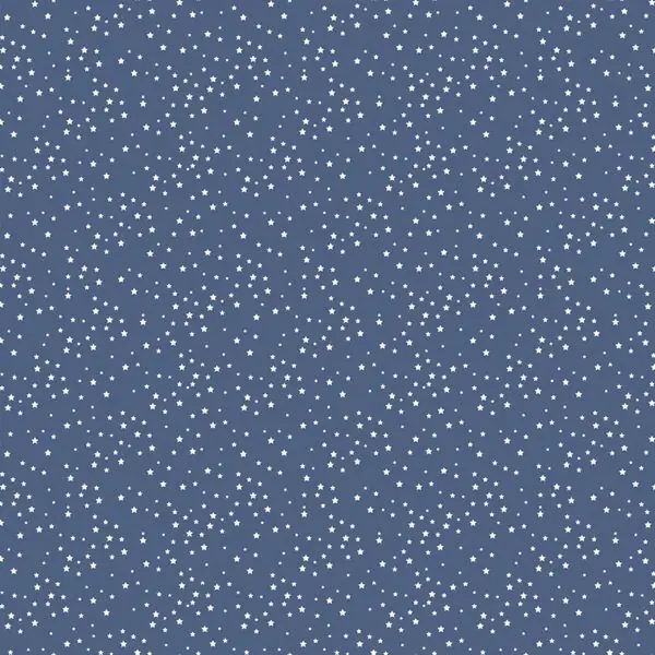 Stars and Stripes Forever 5-inch Stacker - Image 14